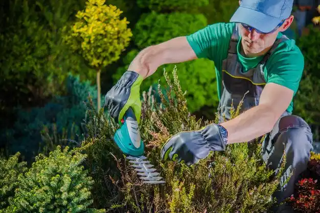 landscaping services Pippa Passes